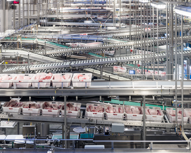 Illustration for article titled Take a Visual Tour of the World's Most Modern Slaughterhouse